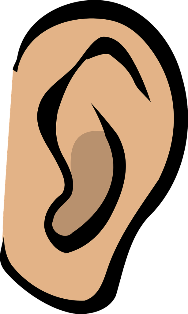 Overview of Hearing Loss and Its Impact on Language Development Overview of Hearing Loss and Its Impact on Language Development